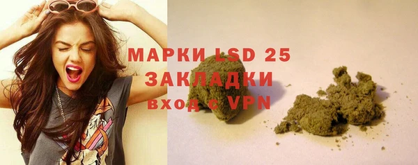 ГАЛЛЮЦИНОГЕННЫЕ ГРИБЫ Алзамай