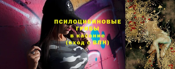 PSILOCYBIN Алексеевка