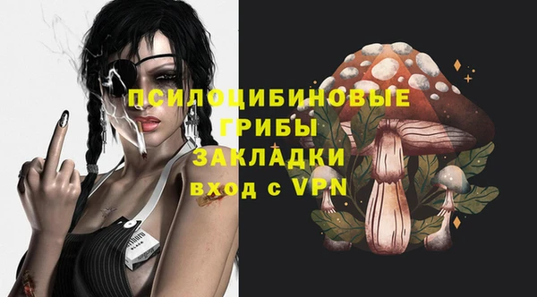 ГАЛЛЮЦИНОГЕННЫЕ ГРИБЫ Алзамай